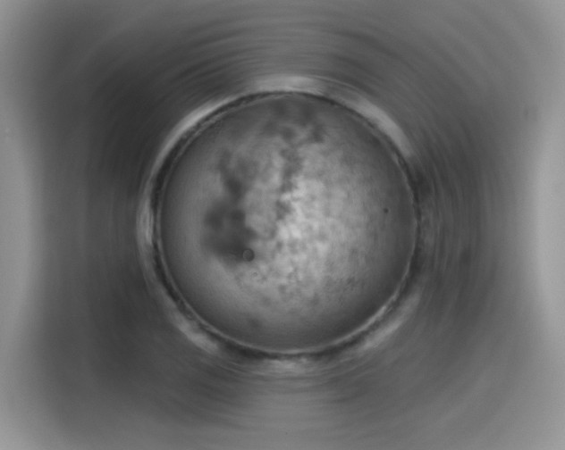 X0000115591125200911171024