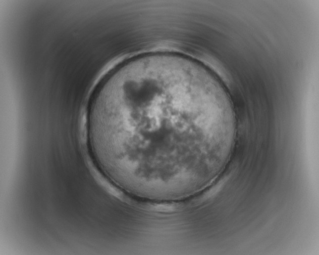 X0000115591126200911171024