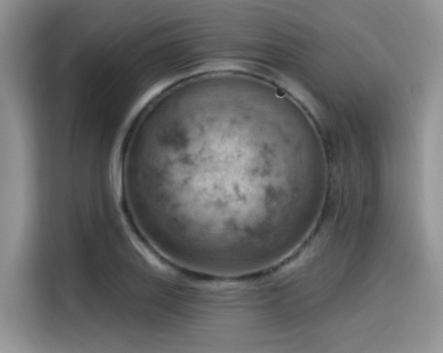 X0000115591127200911171024