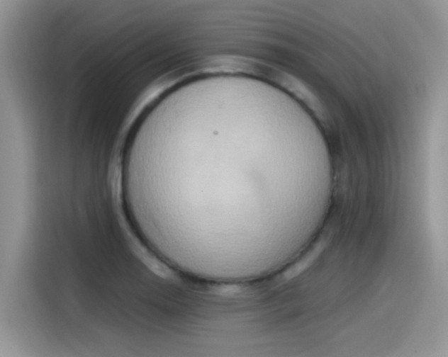 X0000115591130200911171024