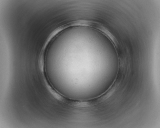 X0000115591131200911171024