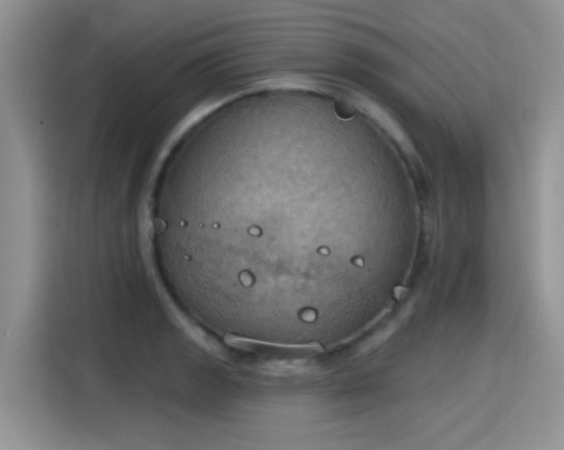 X0000115591133200911171024
