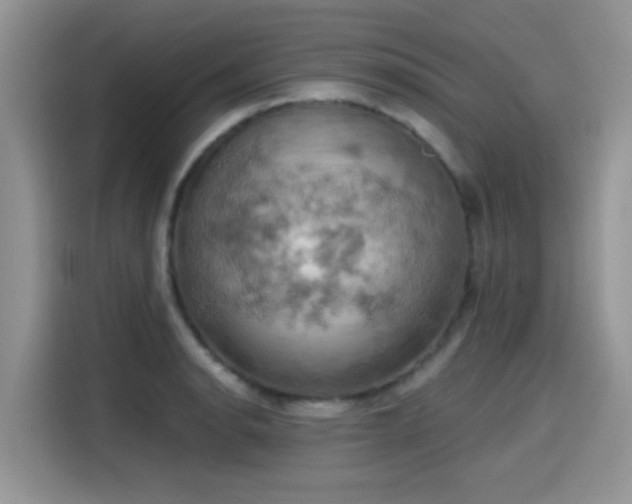 X0000115591134200911171024