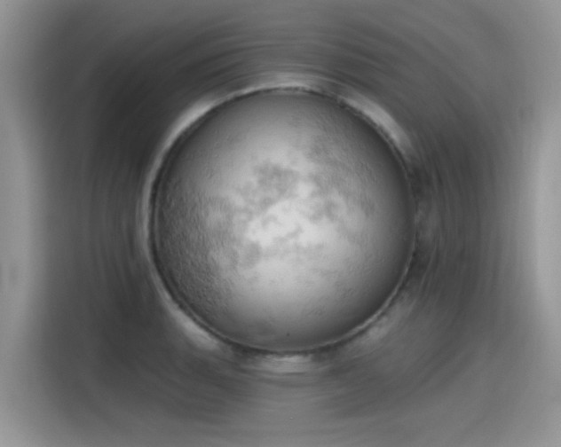 X0000115591135200911171024