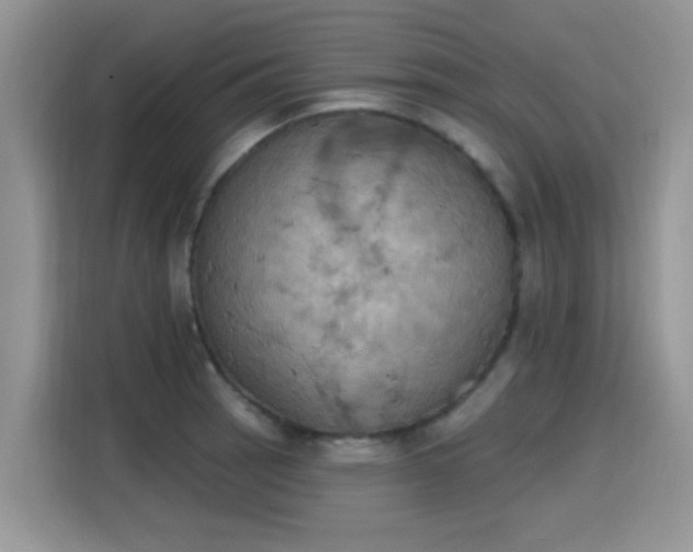 X0000115591137200911171024