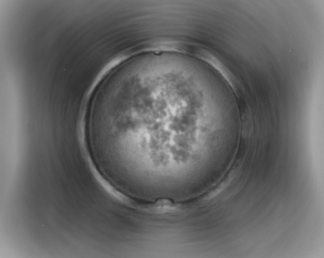 X0000115591139200911171024
