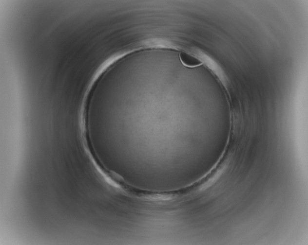 X0000115591141200911171024