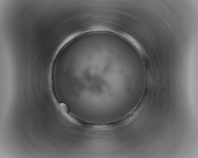 X0000115591142200911171024