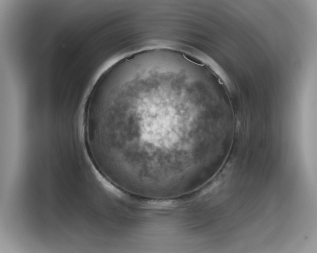 X0000115591143200911171024