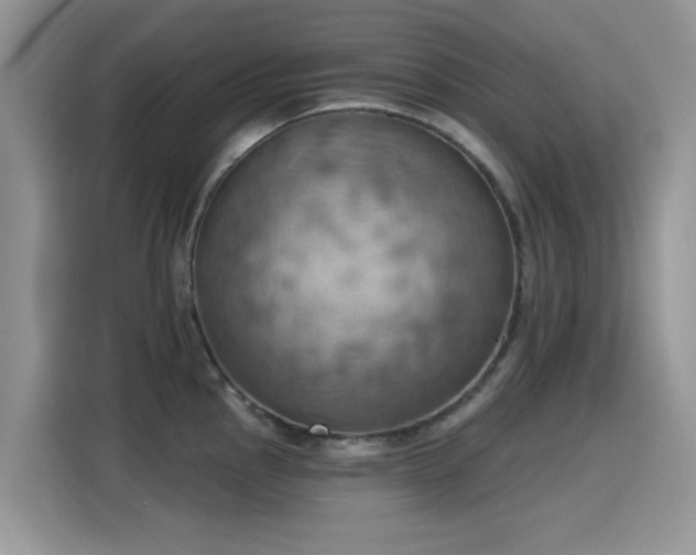 X0000115591145200911171024