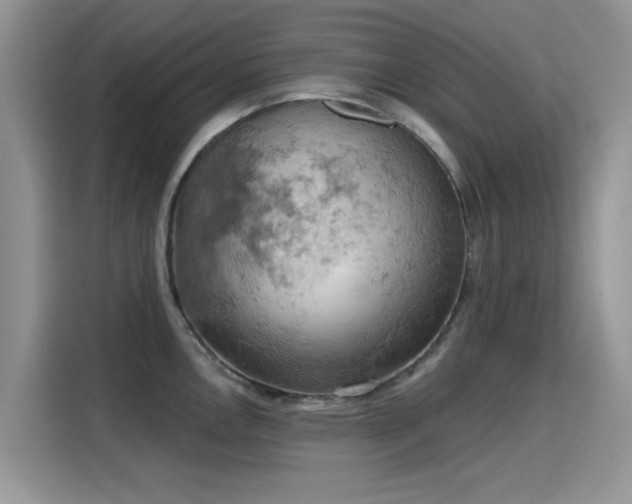 X0000115591146200911171024