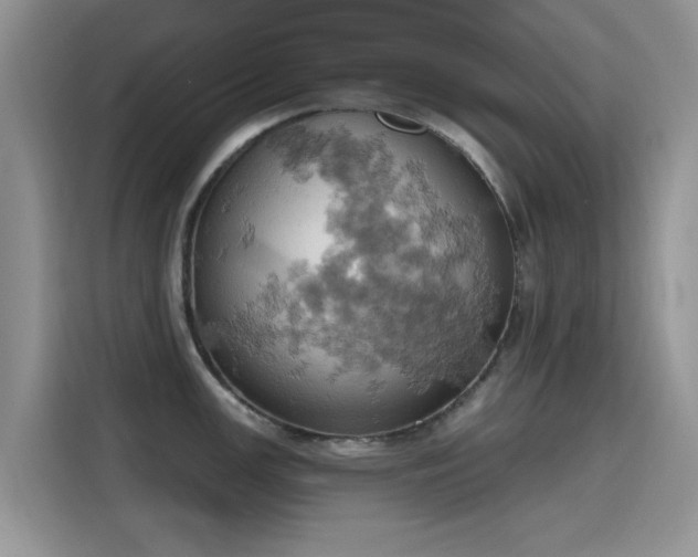 X0000115591147200911171024
