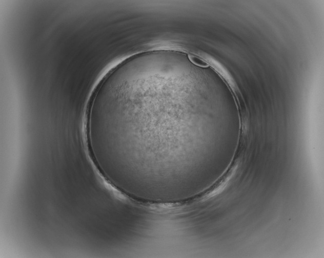 X0000115591149200911171024