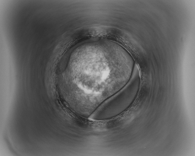 X0000115591153200911171024