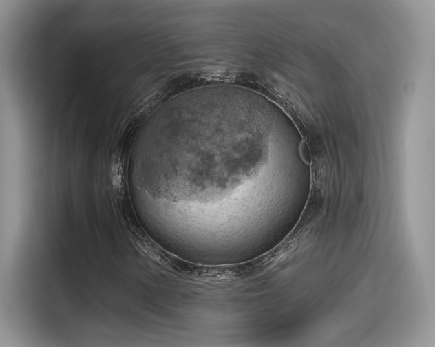 X0000115591154200911171024