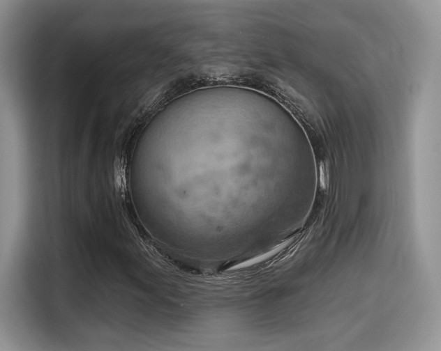 X0000115591155200911171024
