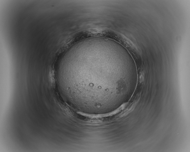 X0000115591156200911171024