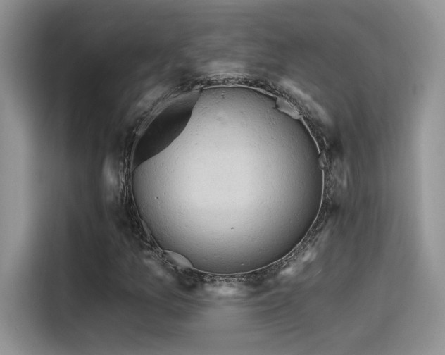 X0000115591157200911171024