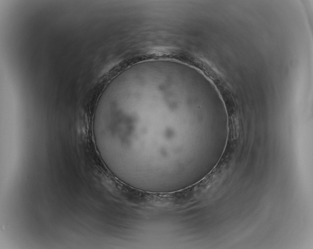 X0000115591158200911171024