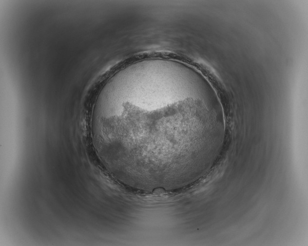 X0000115591159200911171024