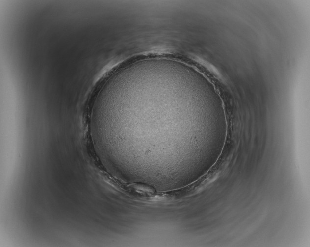 X0000115591160200911171024