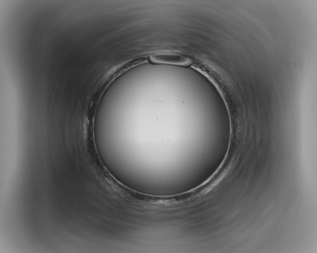 X0000115591161200911171024