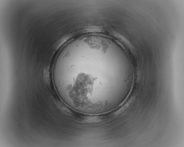 X0000115591162200911171024