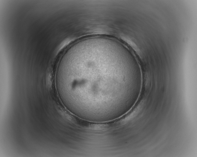 X0000115591163200911171024