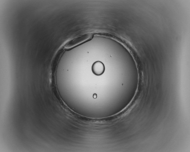 X0000115591165200911171024