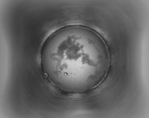 X0000115591167200911171024