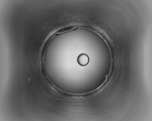 X0000115591168200911171024