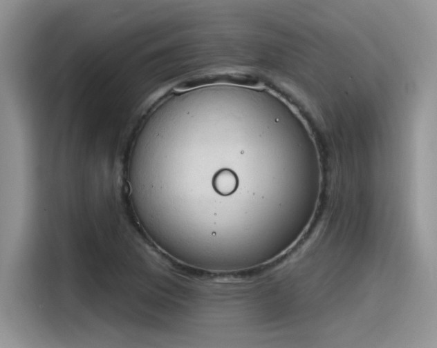 X0000115591169200911171024