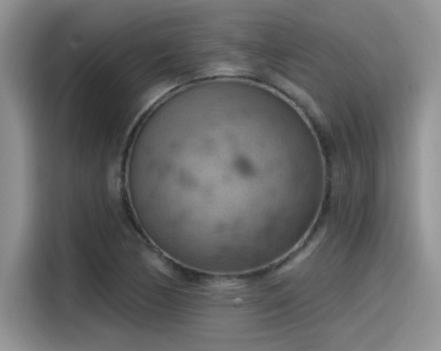 X0000115591170200911171024