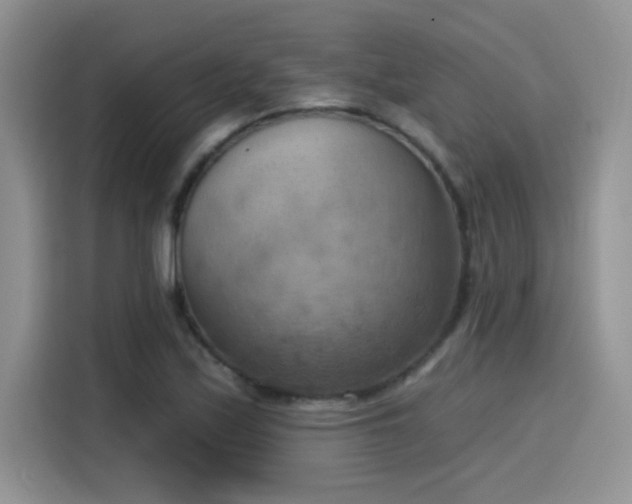 X0000115591171200911171024