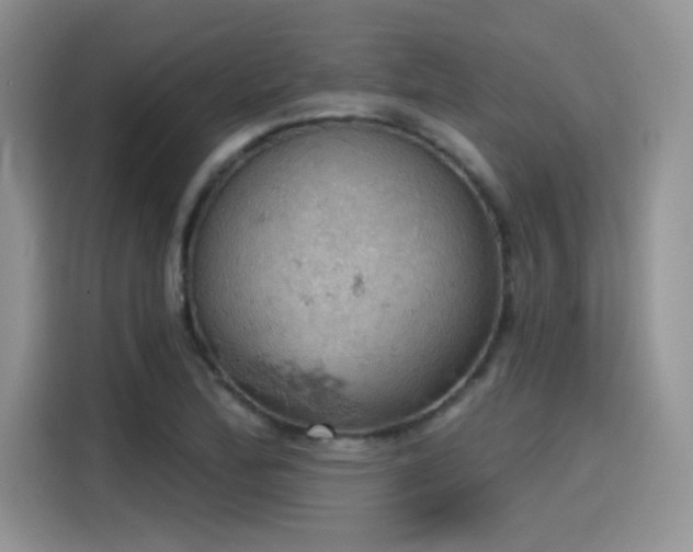 X0000115591172200911171024