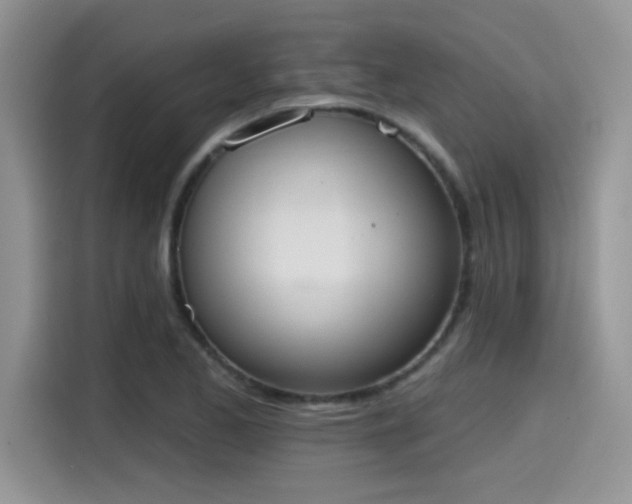 X0000115591173200911171024