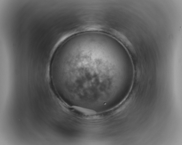 X0000115591174200911171024