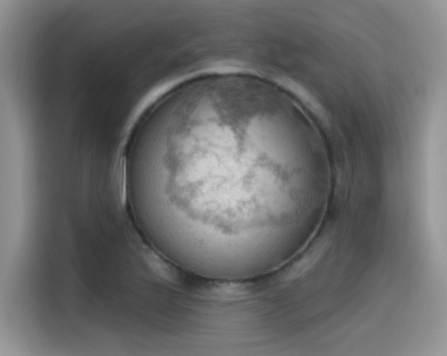 X0000115591175200911171024