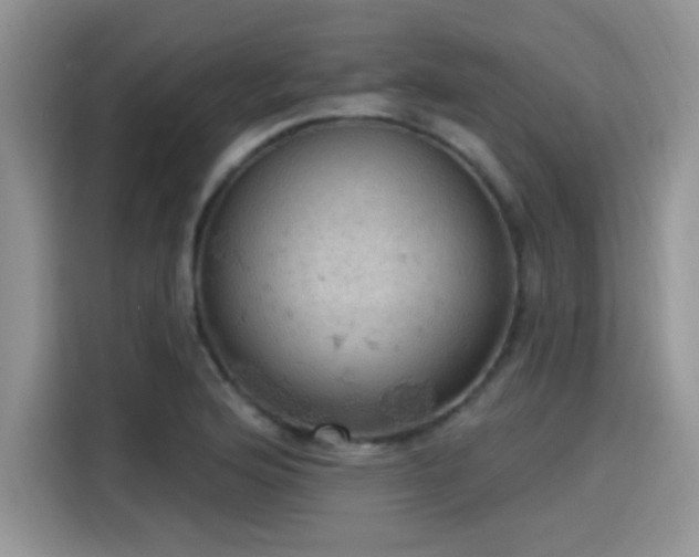 X0000115591176200911171024