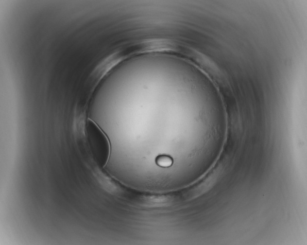 X0000115591177200911171024