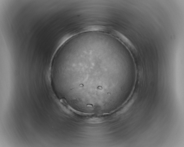 X0000115591178200911171024