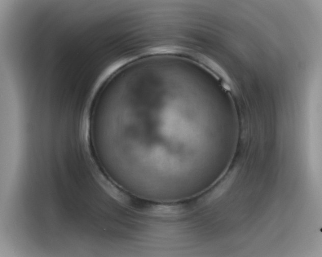 X0000115591179200911171024