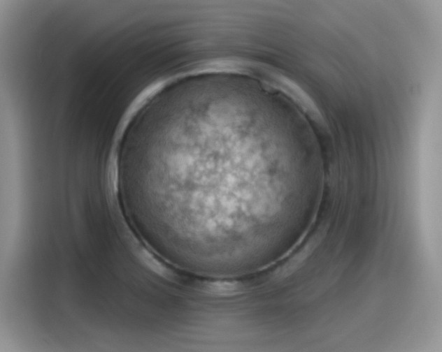 X0000115591180200911171024