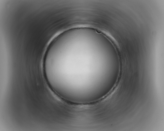 X0000115591181200911171024