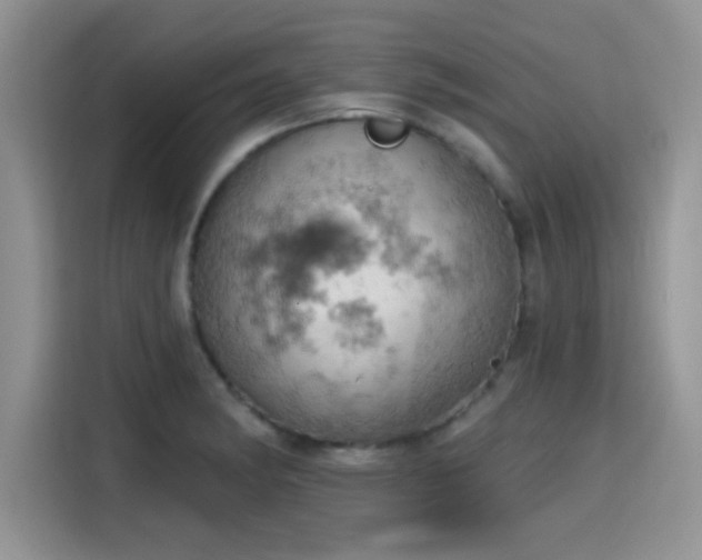 X0000115591182200911171024