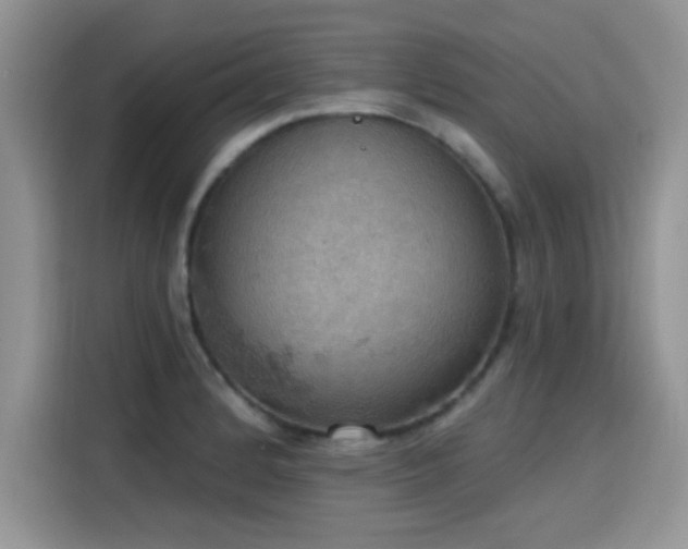 X0000115591184200911171023