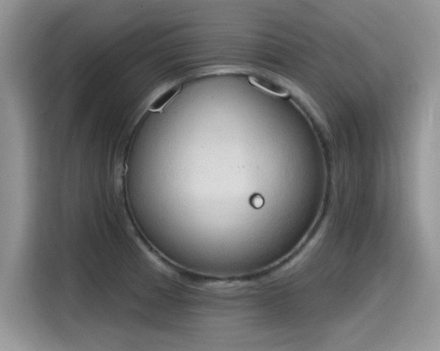X0000115591185200911171023
