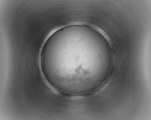 X0000115591187200911171023