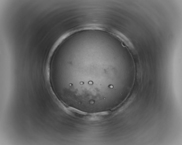 X0000115591188200911171023