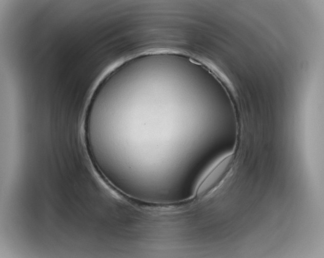 X0000115591189200911171023
